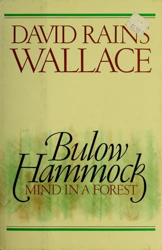 Cover of Bulow Hammock by David Rains Wallace