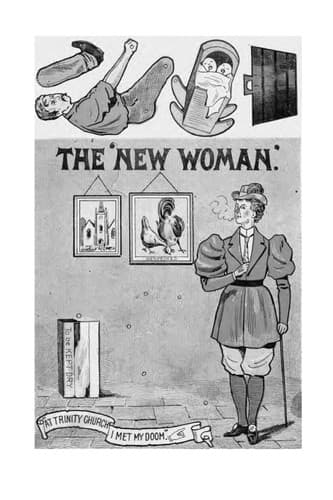 Cover of The new woman in print and pictures by Marianne Berger Woods