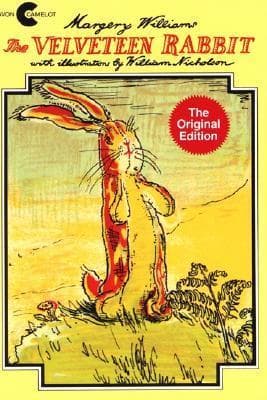 Cover of The Classic Tale of the Velveteen Rabbit by Margery Williams Bianco