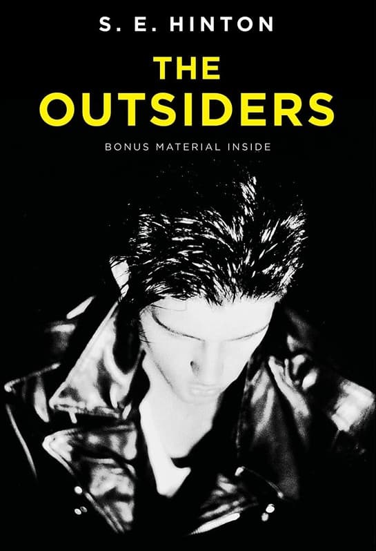 Cover of The Outsiders by S. E. Hinton